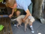 A Day at Mayari Rescue Center